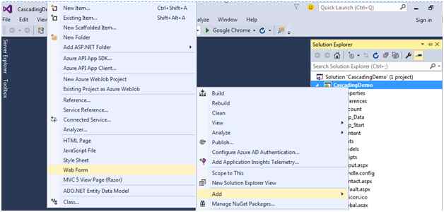 Asp.Net