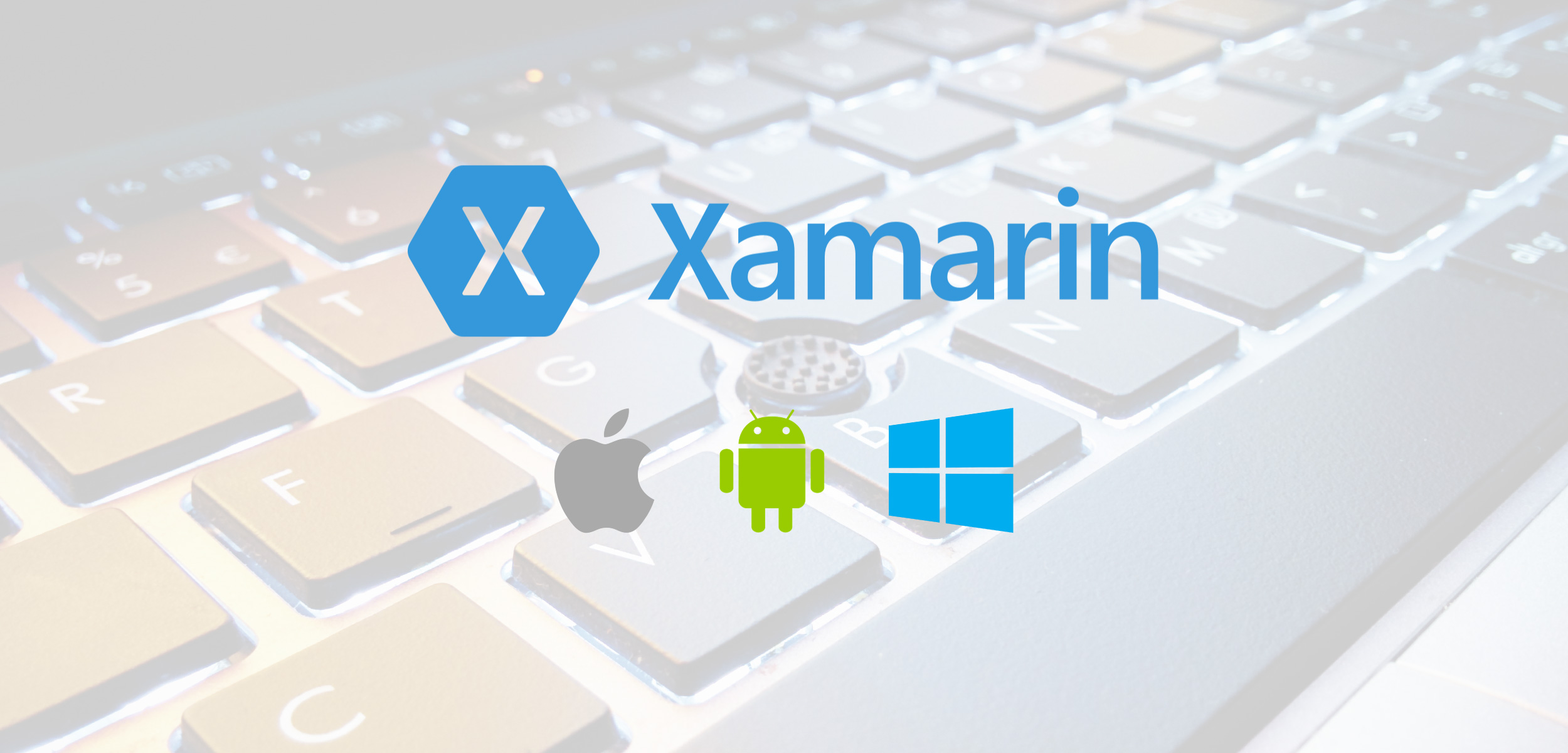 Developing a Simple Resume App with Xamarin.Forms and CSharp